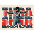 Stars and Stripes Poster